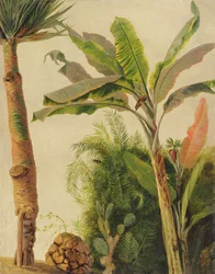Banana Tree, c. 1865